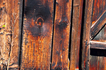 Obraz premium wood tree timber background texture structure backdrop