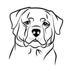 vector rottweiler breed pet dog blck white outline 