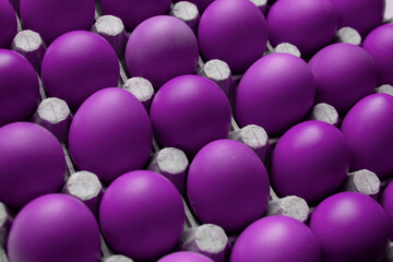 chicken eggs painted purple in cartoon egg box tray