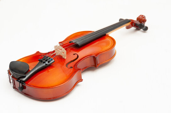 A new violin on a white background. String instruments