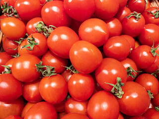 Background with fresh red and orange tomatoes with a green leg. Juicy vegetables from farmers.