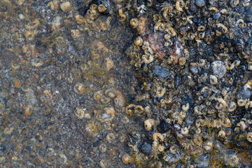 texture of stone