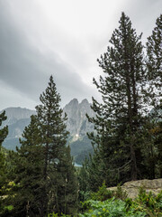 Los picos gemelos conocidos como Els Encantats (Los Hechizados) se alzan a lo lejos entre las copas de las coníferas en el Parque Nacional de Aigües Tortes y Lago de San Mauricio