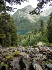 Desprendimientos de rocas en una ladera cubierta de pinos negros que desciende hacia el Lago de San Mauricio en el Parque Nacional de Aigües Tortes, en la vertiente española de los Pirineos