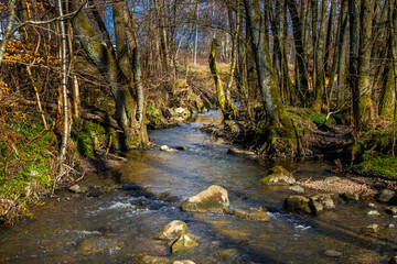 Woodland creek with rocks and trees in a spring landscsape. Shot in Sweden, Scandinavia