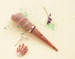 beautiful macro shot of golden wedding ring with sea shell and coral on yellow background