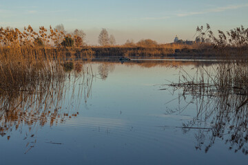 reflections in the water