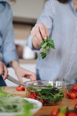 Closeup of human hands cooking vegetables salad in kitchen