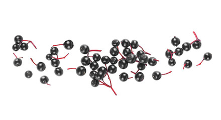 Naklejka premium Elderberries isolated on a white background, top view. Black Elderberry. Sambucus.
