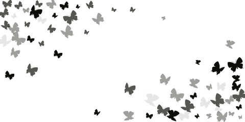Romantic black butterflies isolated vector wallpaper. Spring cute moths. Fancy butterflies isolated girly background. Sensitive wings insects patten. Garden creatures.