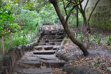 Camino