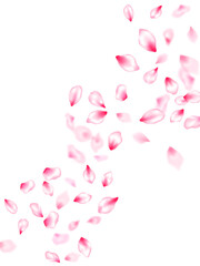 Spring tree flowers parts, airy flying petals