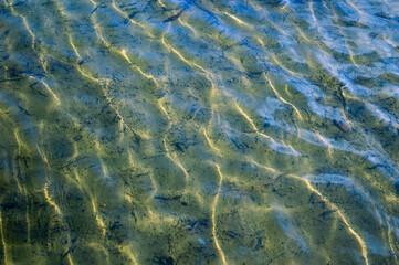 Background. Sunlight in the river