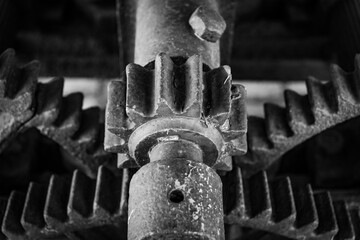 Pinion gear of the mechanism