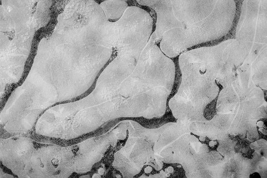 Air trapped under ice creates a relaxing abstract view.