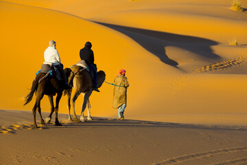 people traveling on camels on the desert