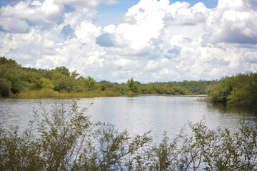 Fototapeta na wymiar Landscape lake