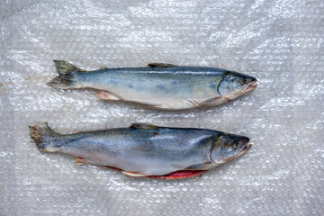 Two dead fish on plastic wrap. A fish dish.