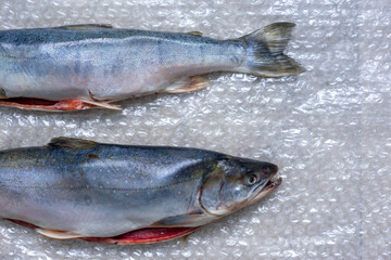 Two dead fish on plastic wrap. A fish dish.