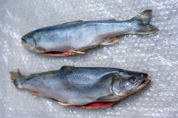 Two dead fish on plastic wrap. A fish dish.