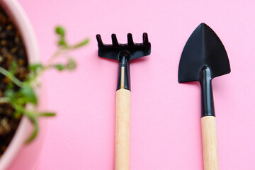 Colorful and cute stock photo of gardening tools and a plant. A shovel and a rake on a pink...