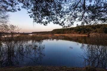 Evening landscape with a river and bushes. Branches of trees in the foreground.
