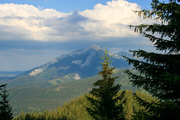 View of the lonely mountain behind the trees