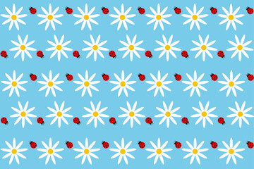 chamomile, summer, ladybug, flower, insect, summer, pattern, background, postcard, blue, white flower, nature , spring