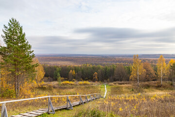 The famous swamp, where Ivan Susanin led the polish army who wanted to destroy the Russian Tsar Mikhail Romanov. Legend says that Susanin was killed by polish soldiers in that swamp.