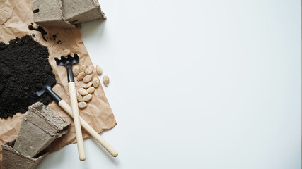 Planting seedlings at home,seedling container,seeds, gardening tools and earth on white background,top view,flat lay,copy space.Organic farm,Sowing hydroponic plants in nursery.Seasonal planting