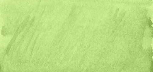 Obraz premium green grass background
