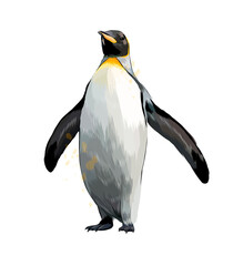 Emperor penguin from a splash of watercolor, colored drawing, realistic. Vector illustration of paints