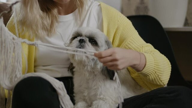 Woman in process of making macrame knot with cute dog pet. Rbbro Female make wall hanging. Weaving
