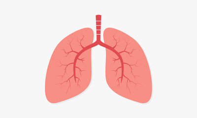 organs human lung. breathing vector illustration.