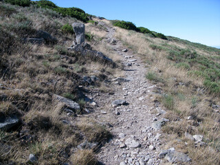 RUTA SENDERISMO EL TOROZO PUERTO DEL PICO AVILA