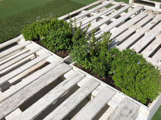 Wooden decor, pallet furniture, green plants and artificial lawn on a street city, urban space