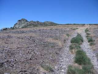 RUTA SENDERISMO EL TOROZO PUERTO DEL PICO AVILA