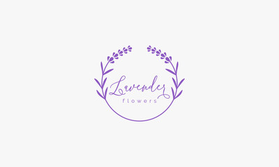 lavender flower logo design vector.