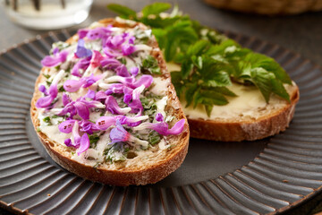 Slices of sourdough bread with wild edible spring plants - ground elder leaves, lungwort and purple dead-nettle