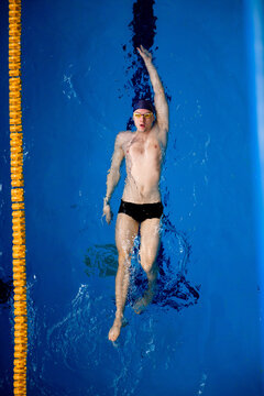 Male Professional Competitive Swimmer In Swimming Pool, View From Above.