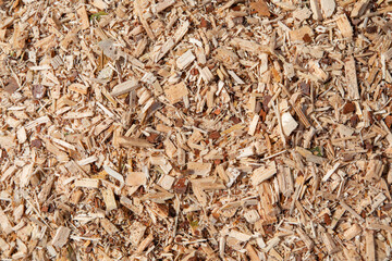 Fototapeta premium Sawdust or wood dust texture background. Oblong sawdust after woodworking. Wood background