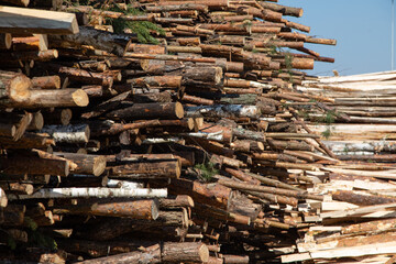 A cord of cut birch wood for firewood piled high under a blue sky with white clouds. The long logs have been cut with a chainsaw from a forest and stacked. They are ready for harvest and logging.