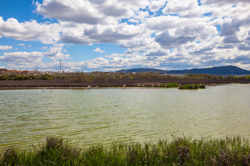 Flamingos in lagoon Fuente de Piedra. Picture taken 20.03.2021.