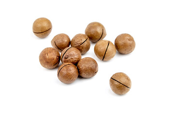 Macadamia nuts roasted in shell isolated on white