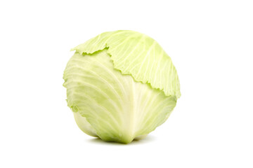Fototapeta premium Cabbage head isolated on white background