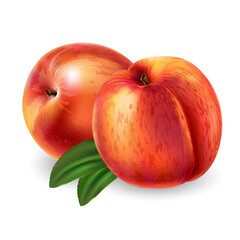 Peaches with leaves on a white background.