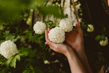 hand picking flower feel nature