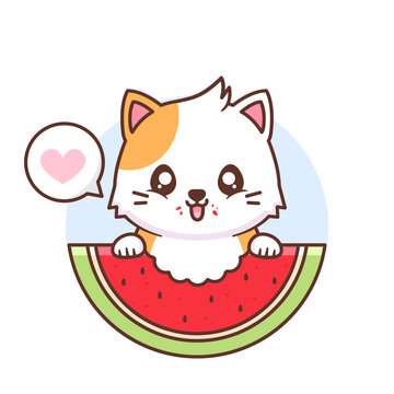 cute happy cat eating watermelon