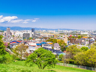 新緑の丘から眺める住宅地