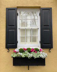 Beautiful, isolated window with shutters and window box full of flowers
